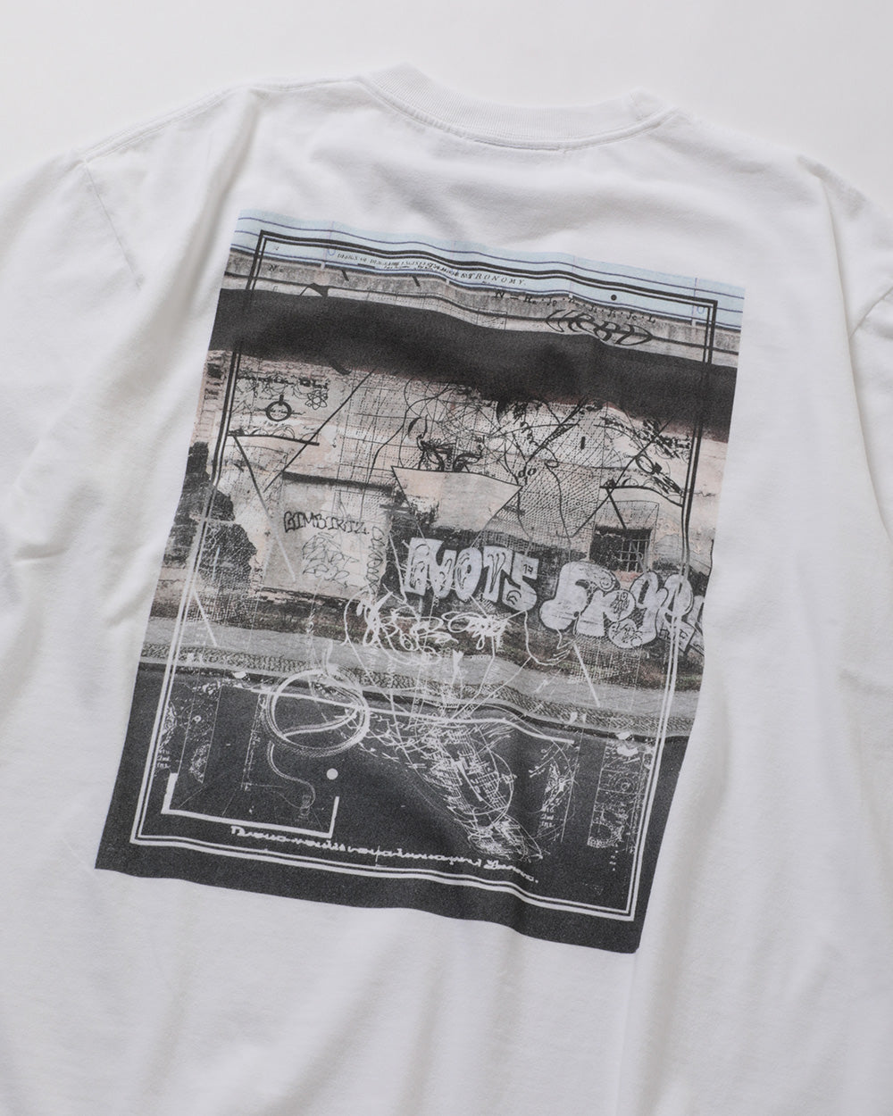 Devastated Wall Tee ONEITA