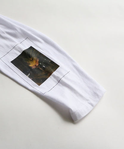 【 HTBS-004 】GRAPHIC L/S TEE